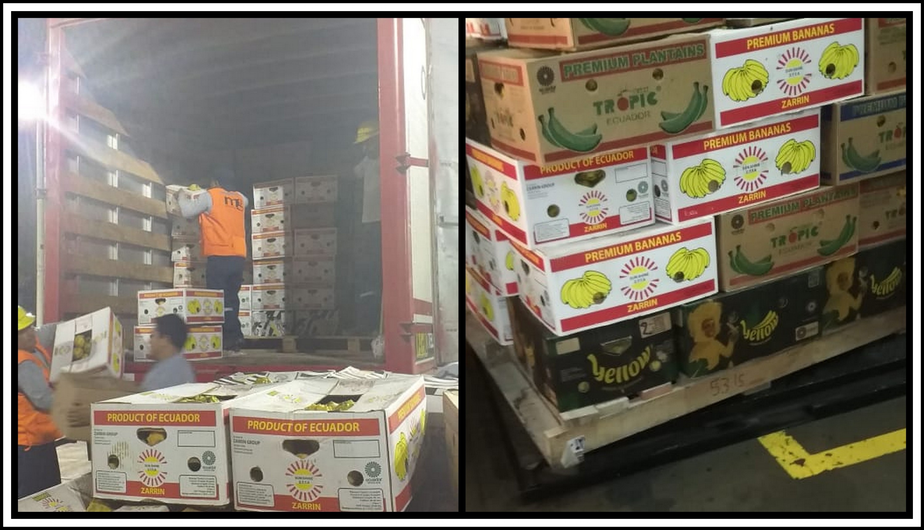 Piura: policía incauta más de 10 mil kilos de pitahaya de contrabando