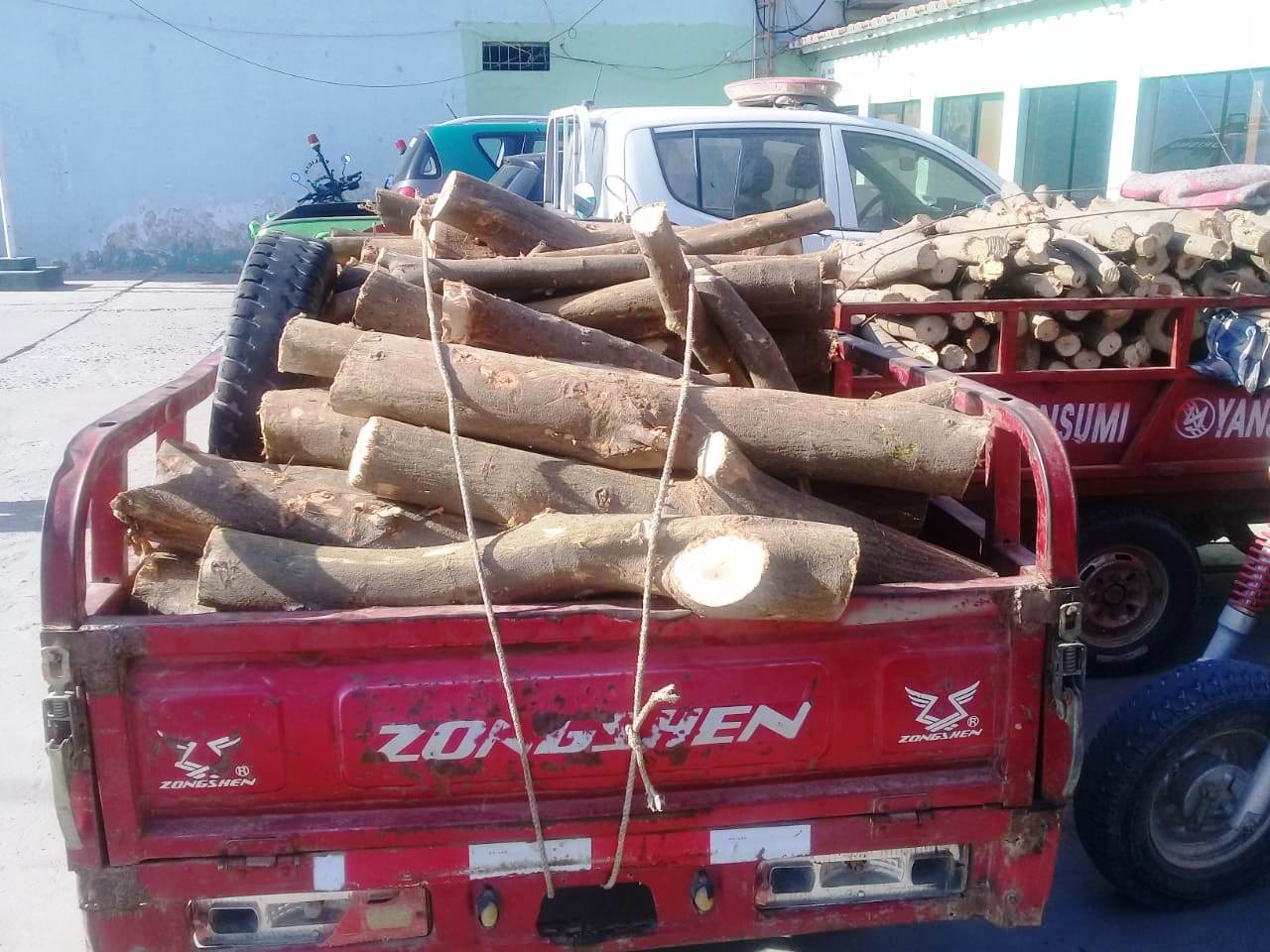 Piura: intervienen motofurgones con faique y algarrobo ilegal