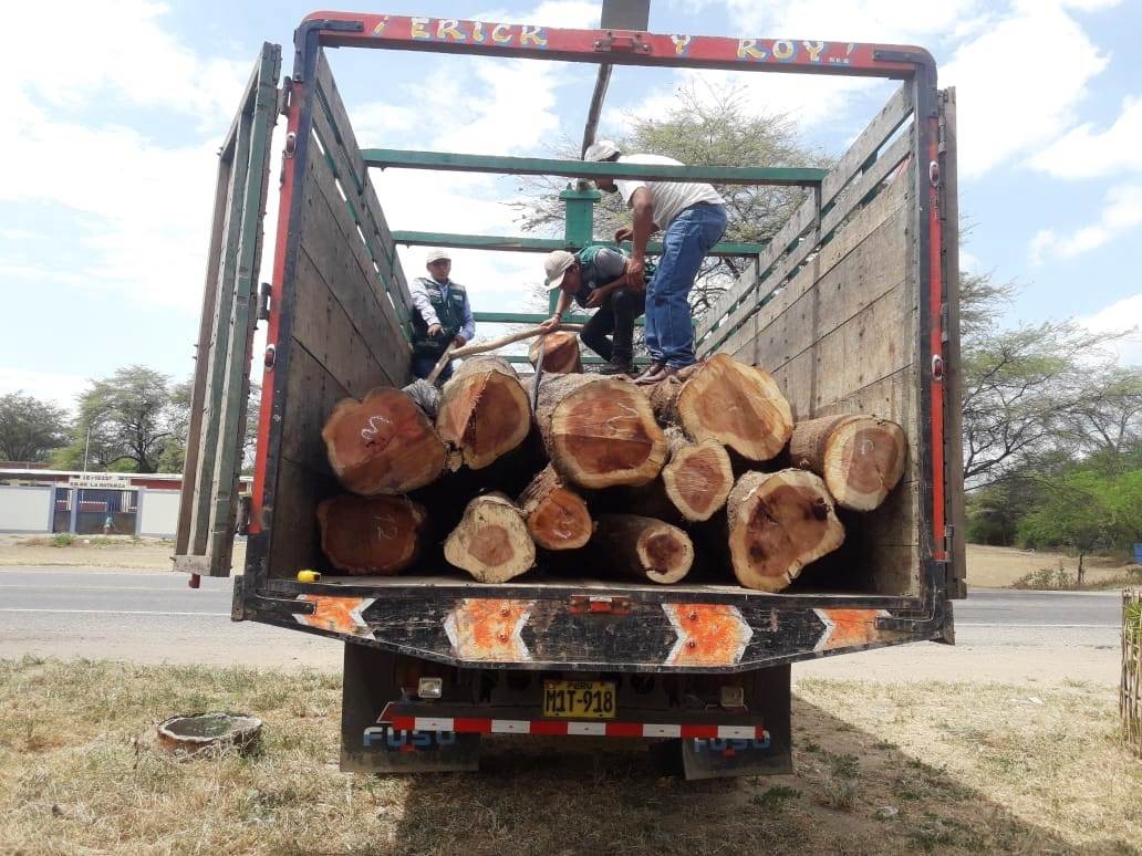 Intervienen tres camiones en Piura y Chulucanas con algarrobo y faique ilegal