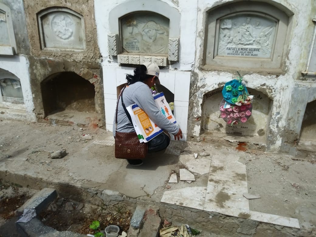 Piura: identifican larvas del mosquito vector del dengue en cementerio San Teodoro
