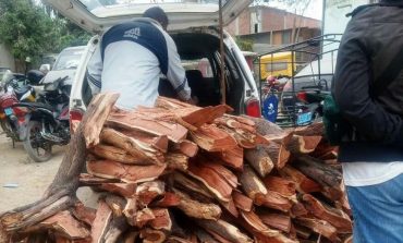 Decomisan leña y carbón de algarrobo talado ilegalmente en Tambogrande