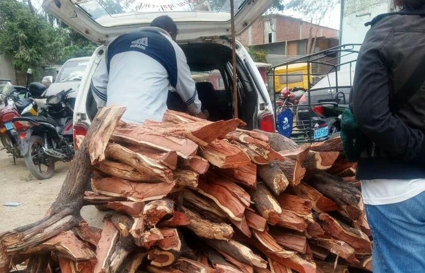 Decomisan leña y carbón de algarrobo talado ilegalmente en Tambogrande