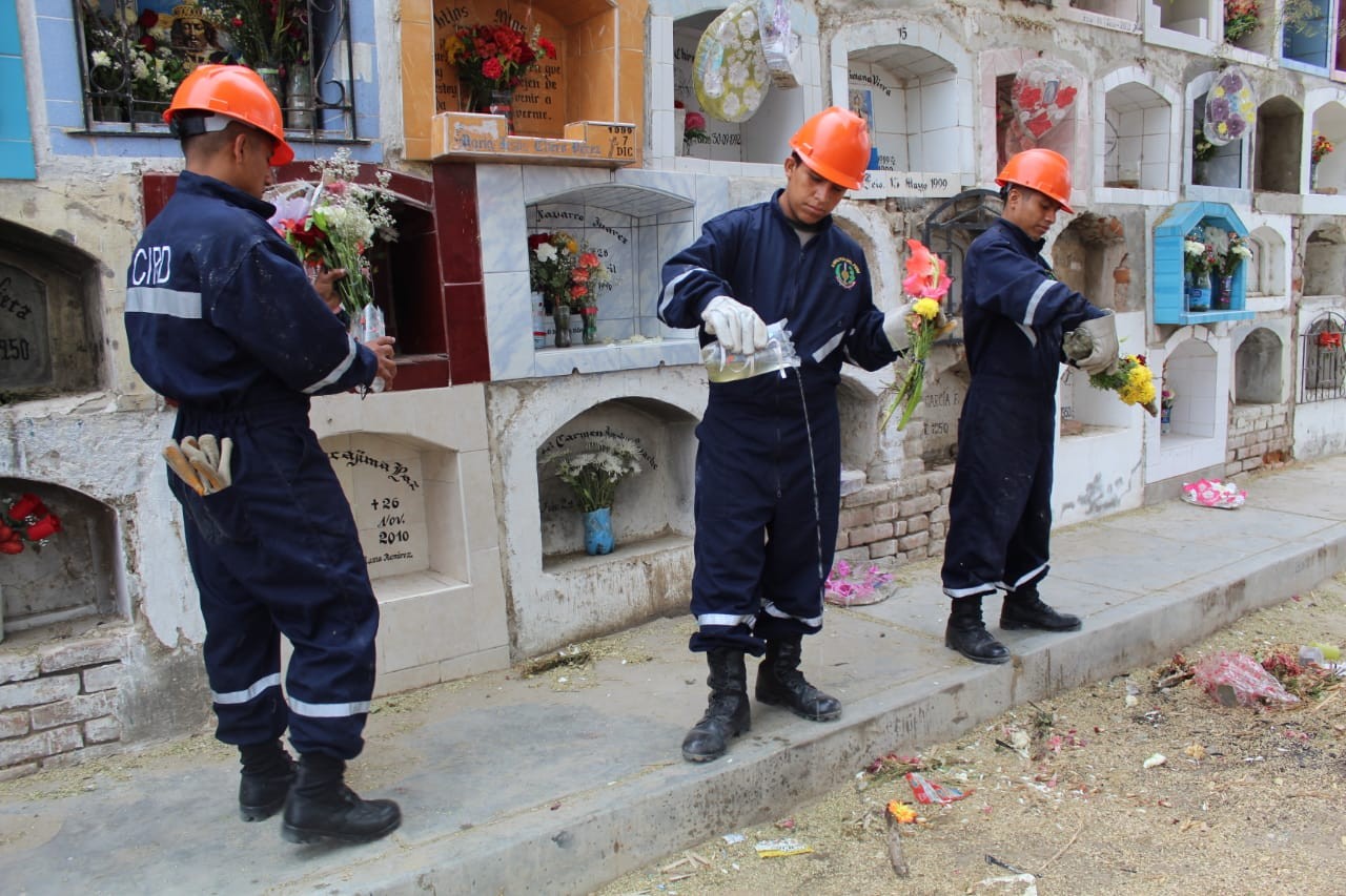 Encuentran depósitos con larvas del zancudo vector del dengue en cementerio de Castilla