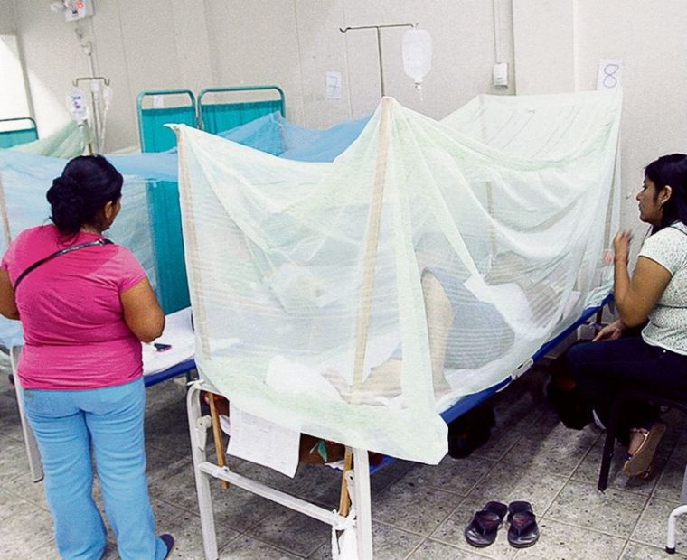 Región Piura se ubica en primer lugar a nivel nacional con más casos de dengue