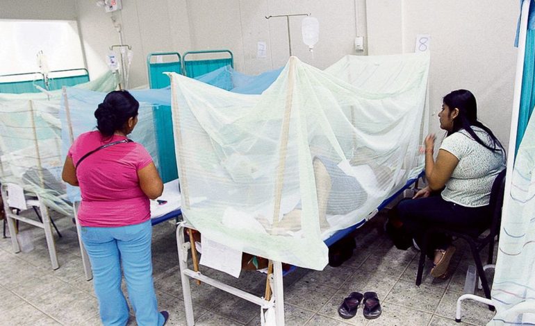 Aumentan a más de 2200 los casos de dengue en Piura