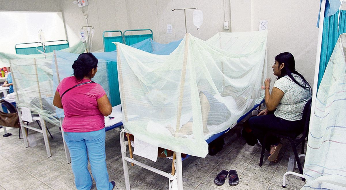 Aumentan a más de 2200 los casos de dengue en Piura