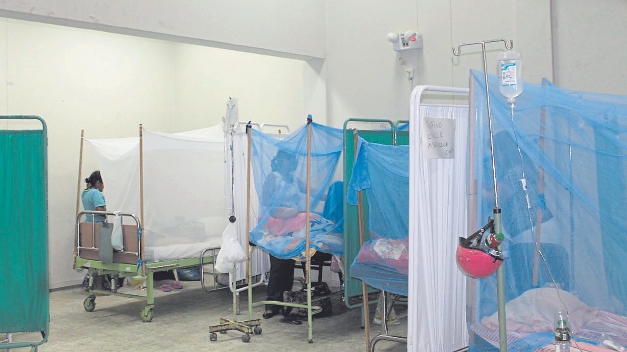 Piura: Minsa anuncia el envío de casi tres millones de soles para la lucha contra el dengue