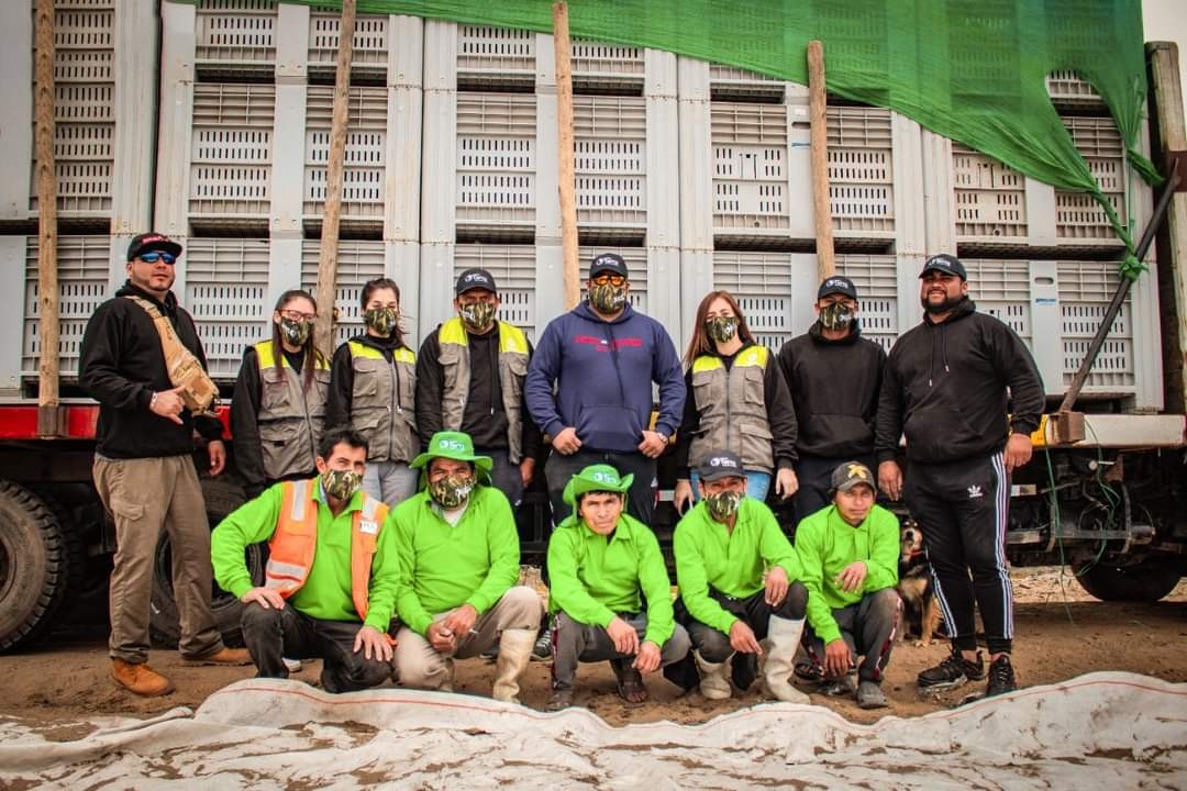 Proyecto Terra busca producir 800 toneladas de pitahaya en el norte Proyecto-Terra.