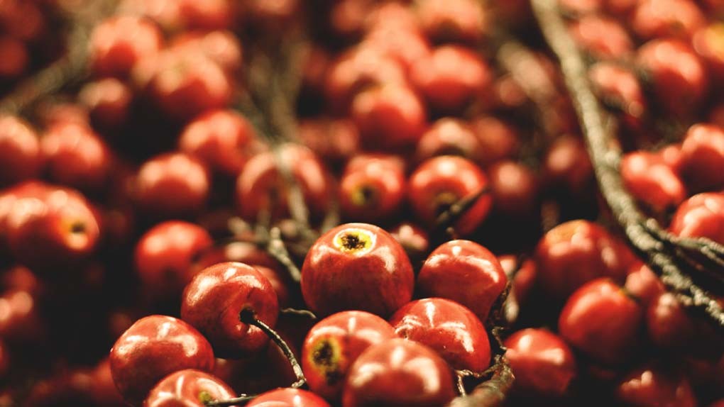 Recomiendan incluir ‘superalimentos’ peruanos en la dieta de nuestras familias