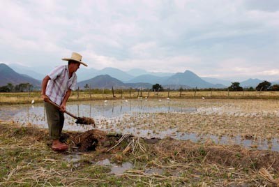 Segunda Reforma Agraria: Gobierno asegura que busca promover inclusión social de más de 2 millones de productores agrícolas