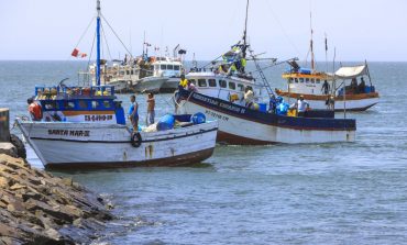 Piura: Pescadores piden levantar la veda de la merluza