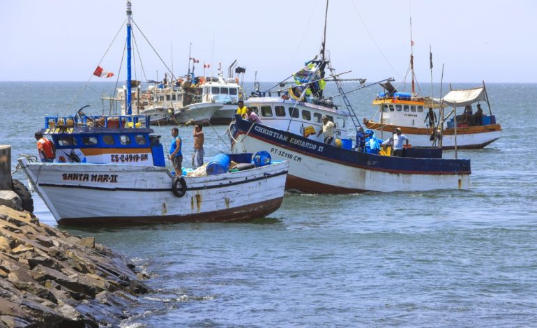 Piura: Pescadores piden levantar la veda de la merluza