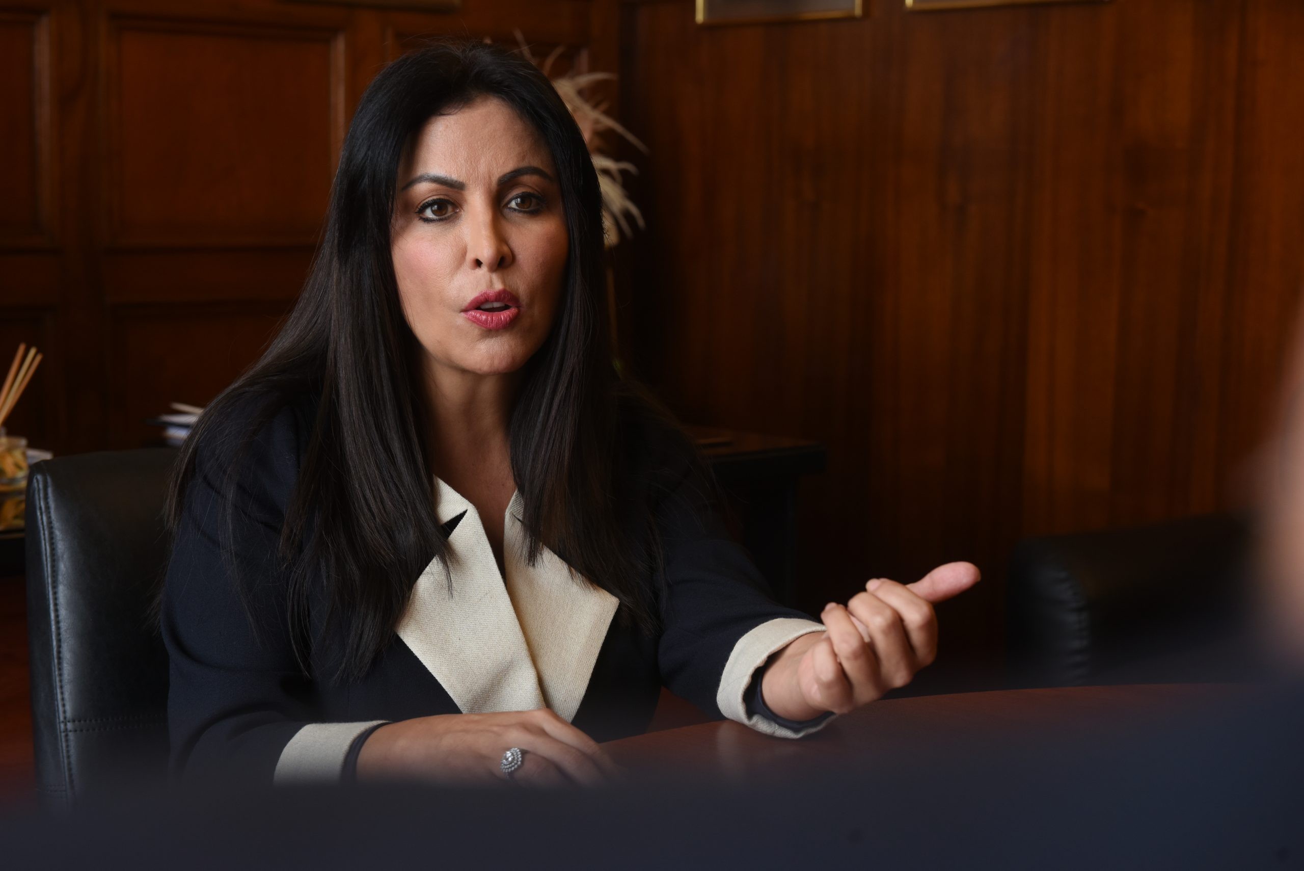 Patricia Chirinos plantea vacancia presidencial contra Pedro Castillo
