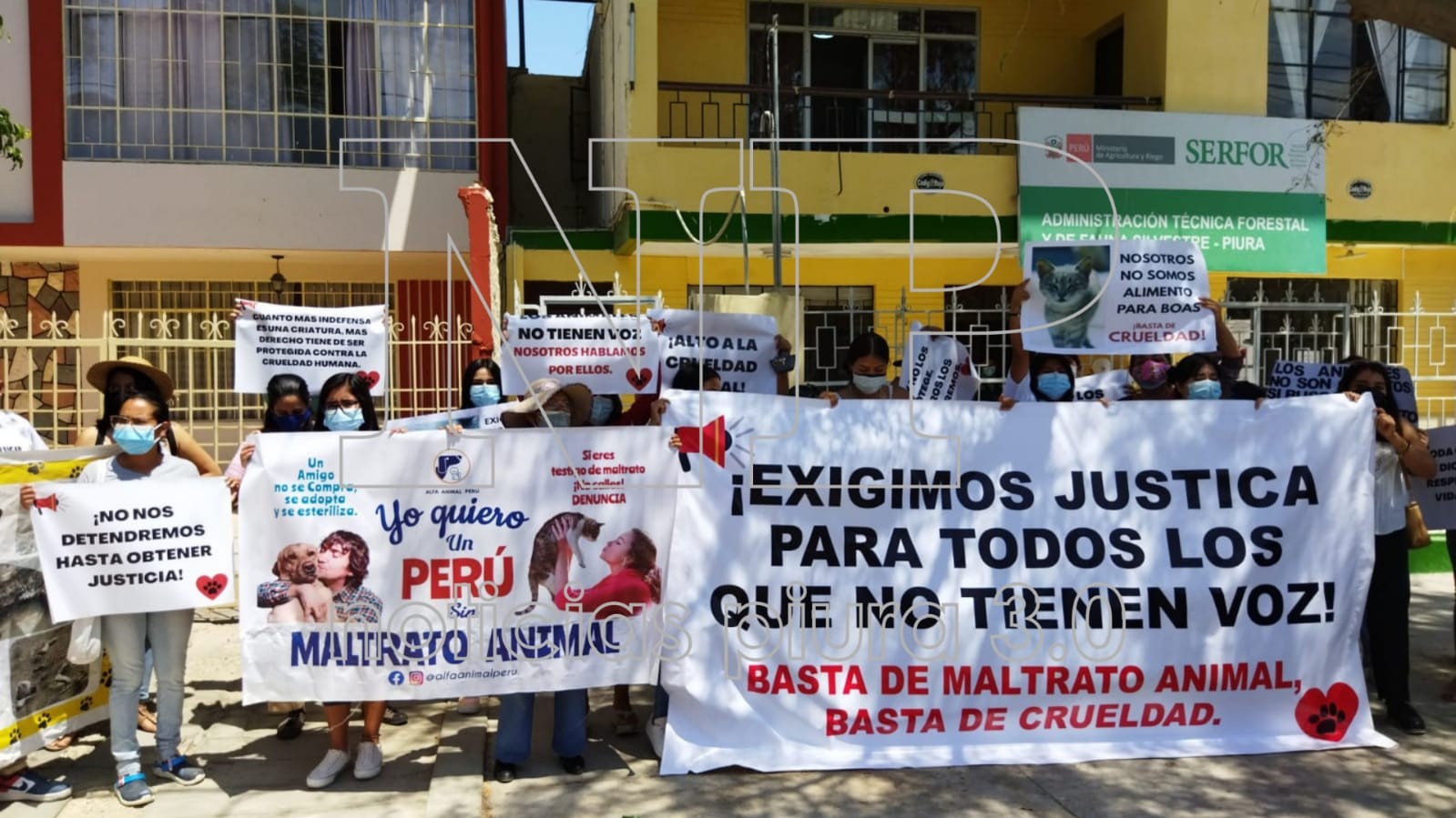Animalistas piuranos exigen retiro de boas de restaurante turístico