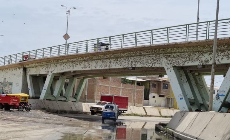 Piura: Menor intenta suicidarse lanzándose de un puente