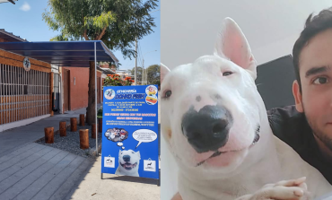 Piuranos chamba: El emprendimiento que prevé construir un albergue gratuito para perros