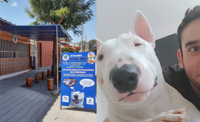 Piuranos chamba: El emprendimiento que prevé construir un albergue gratuito para perros