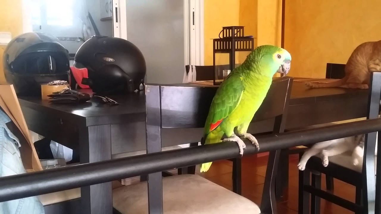 maxresdefault (2)