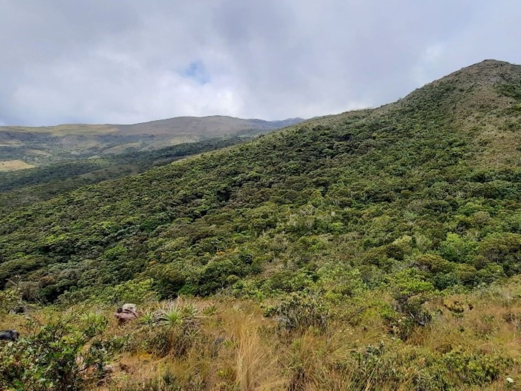 Ayabaca crea nueva área de conservación ambiental para proteger sus páramos