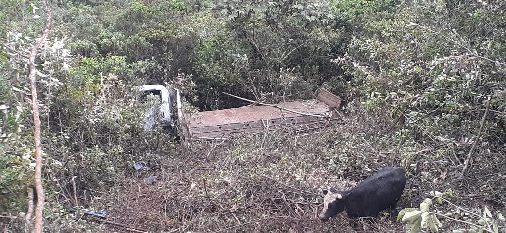 Ayabaca: camión cae a un abismo y deja un muerto