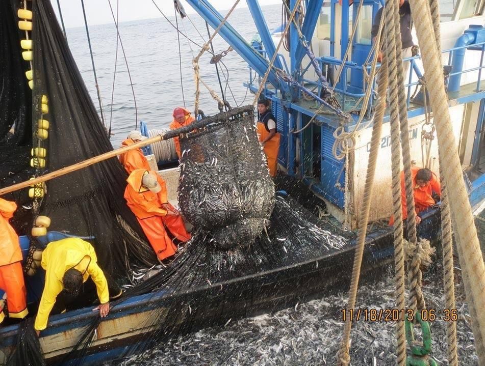 Sector pesca y minera no metálica mejoraron indicadores sociales de Sechura en los últimos 10 años feriado no laborable