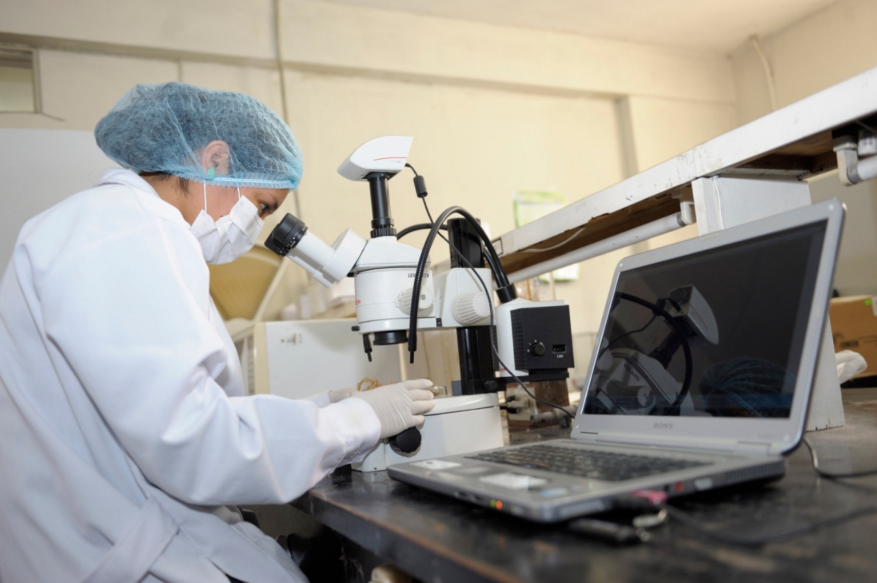 Concytec: 21 investigadoras científicas compiten por Premio Nacional “Por las mujeres en la Ciencia –2021” Premio Nacional “Por las mujeres en la Ciencia –2021