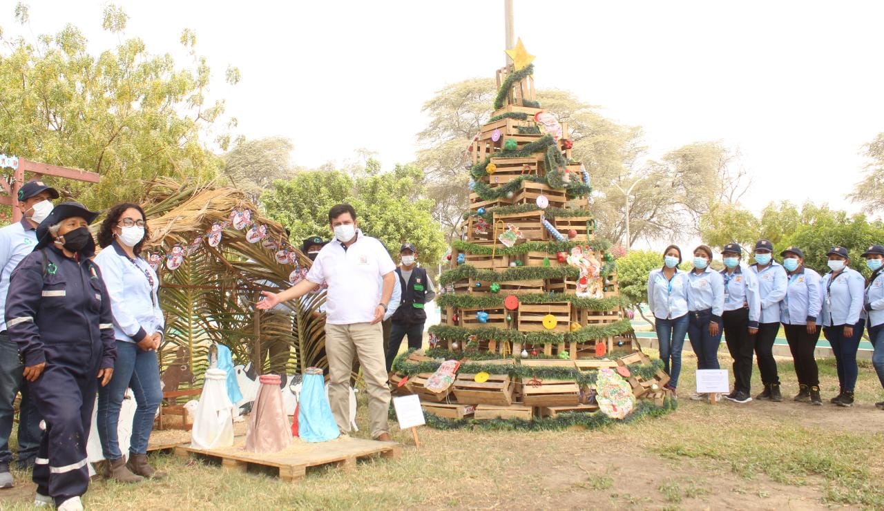 instalan árboles de navidad instalan árboles de navidad