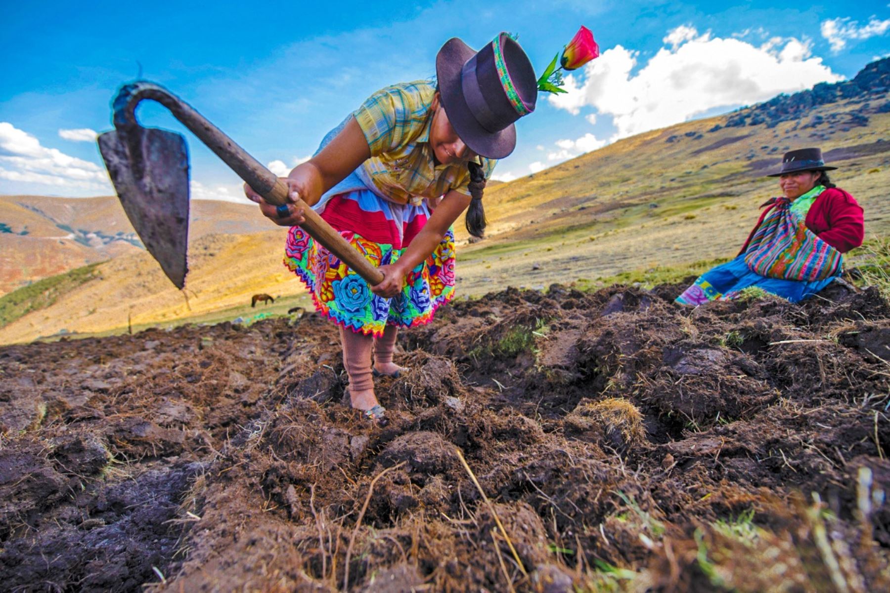 Agricultores pueden cobrar bono Wanuchay de S/ 350 desde mañana