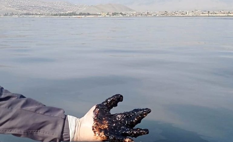 Congreso: convocarán a representantes de empresa y autoridades tras derrame de petróleo