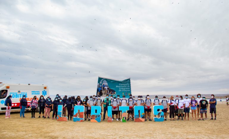 Realizan campaña de limpieza en Playa Lobitos