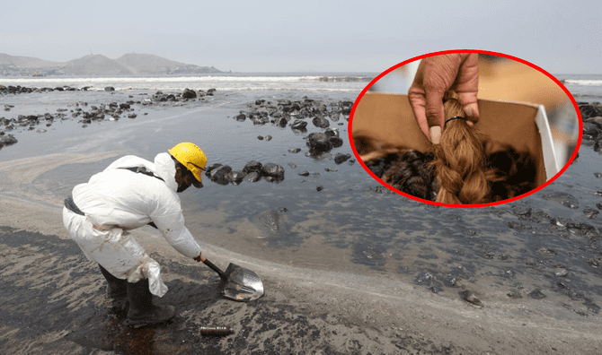 Piura: buscan recolectar dos toneladas de cabello para limpiar mar contaminado por derrame de petróleo