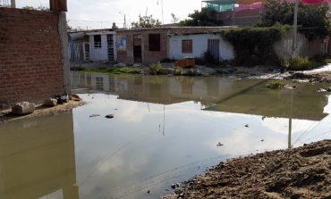 Piura: vecinos de Túpac Amaru conviven en medio de lagunas de desagües