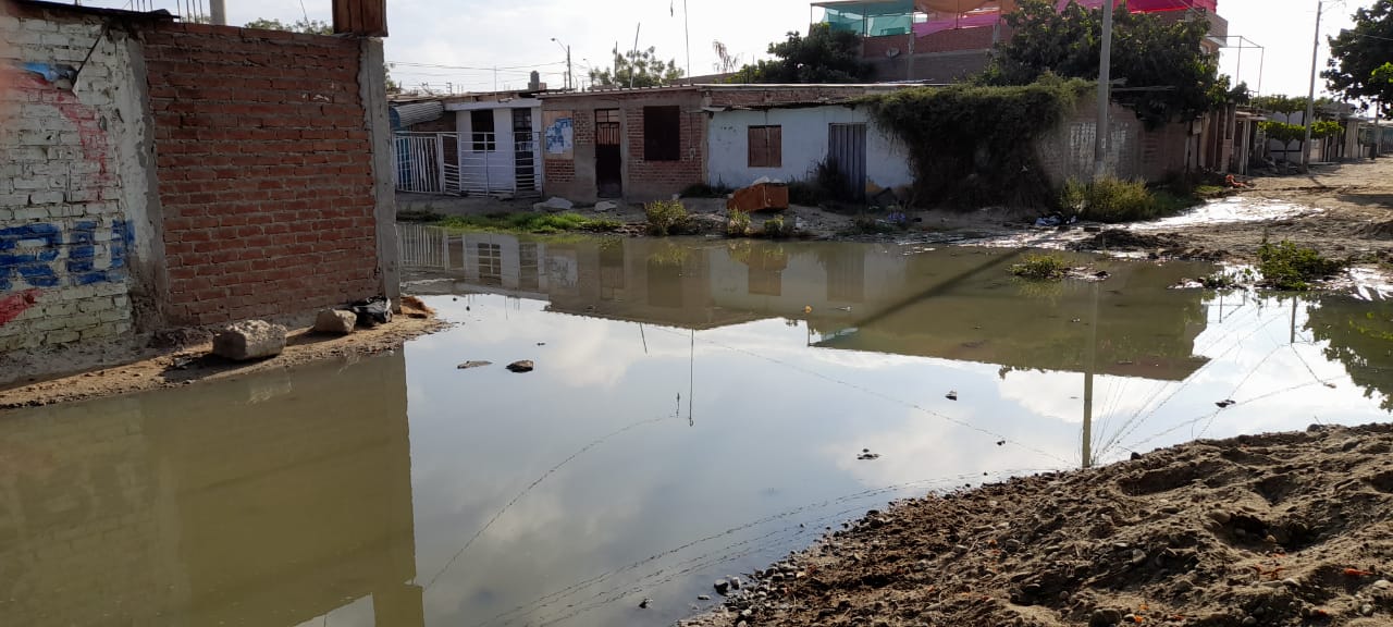Piura: vecinos de Túpac Amaru conviven en medio de lagunas de desagües