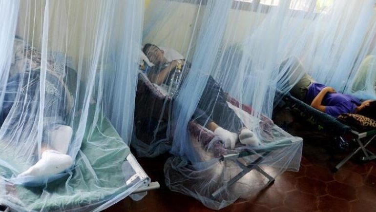 Piura: aumentan a 19 los muertos por dengue