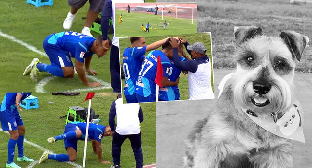 Piura: jugador de Alianza Atlético de Sullana dedica gol a su mascota fallecida