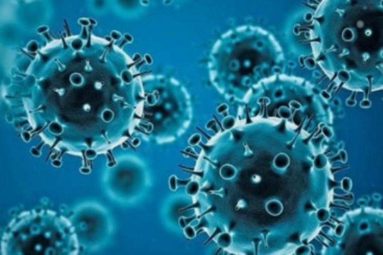 El sistema inmune neutraliza Ómicron tras estar tres veces en contacto con el COVID-19