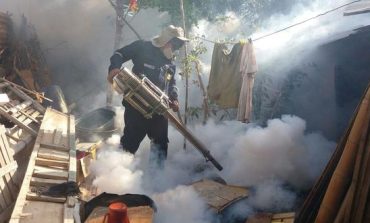 Registran la primera muerte por dengue en el año