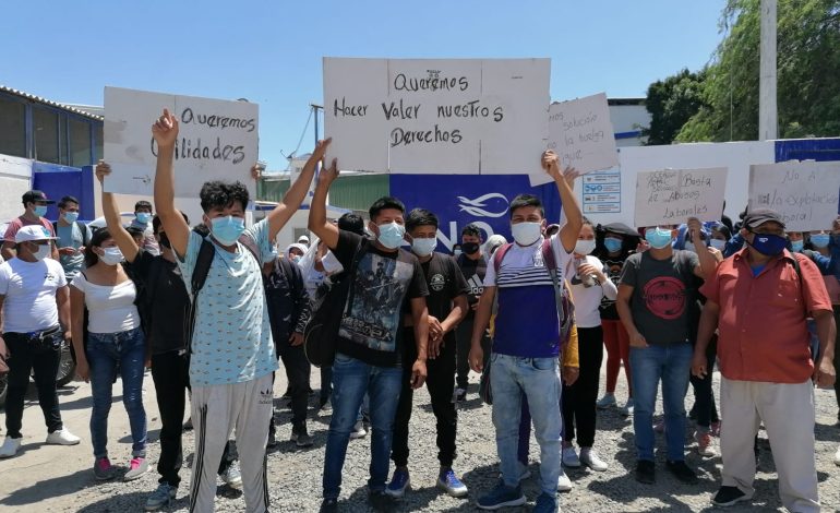 Piura: Trabajadores de Seafood exigen el pago de sus utilidades