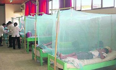 Minsa reporta cerca de cinco mil casos de dengue en la región Piura