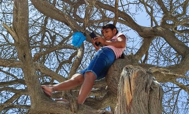 Alumna convierte árbol en salón de clases por falta de internet y de colegios en el desierto de Sechura