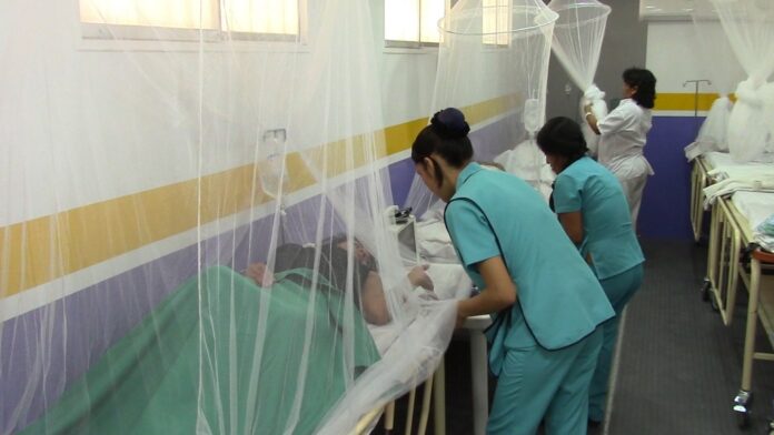Piura se ubica en tercer lugar a nivel nacional en mortalidad por dengue