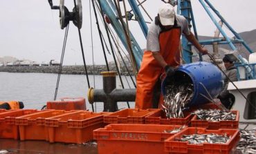 Produce autoriza el inicio de pesca de anchoveta en zona norte-centro del litoral