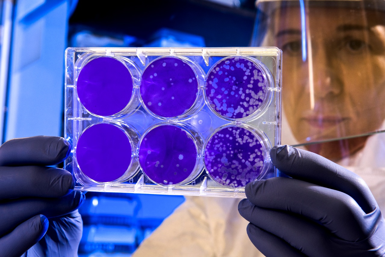 Preparan “Semana de la Innovación 2022” orientado a temas de ciencia y tecnología post Covid-19