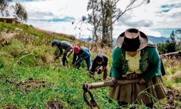 Agricultores piuranos advierten paro indefinido ante precio elevado de fertilizantes