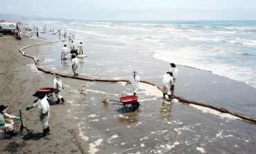 Día Mundial de los Océanos: ¿Cómo afectó el derrame de petróleo a nuestro mar?