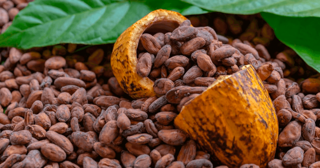 Peligra exportación del cacao por uso de herbicida