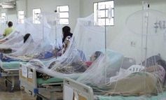 Piura: adolescente de 15 años muere por dengue grave