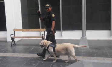 Muere de cáncer Bubba, el perro que perteneció a la Policía