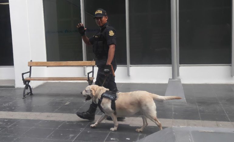 Muere de cáncer Bubba, el perro que perteneció a la Policía