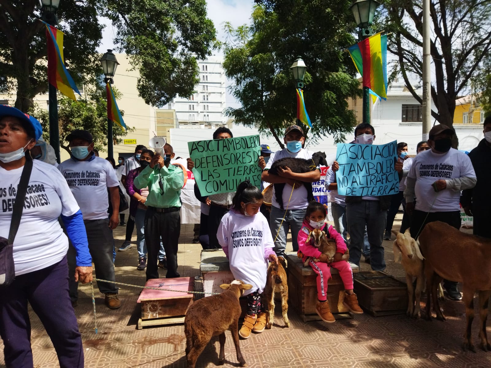 Catacaos: más de 200 familias del sector Cruz Blanca corren el riesgo de ser desalojadas
